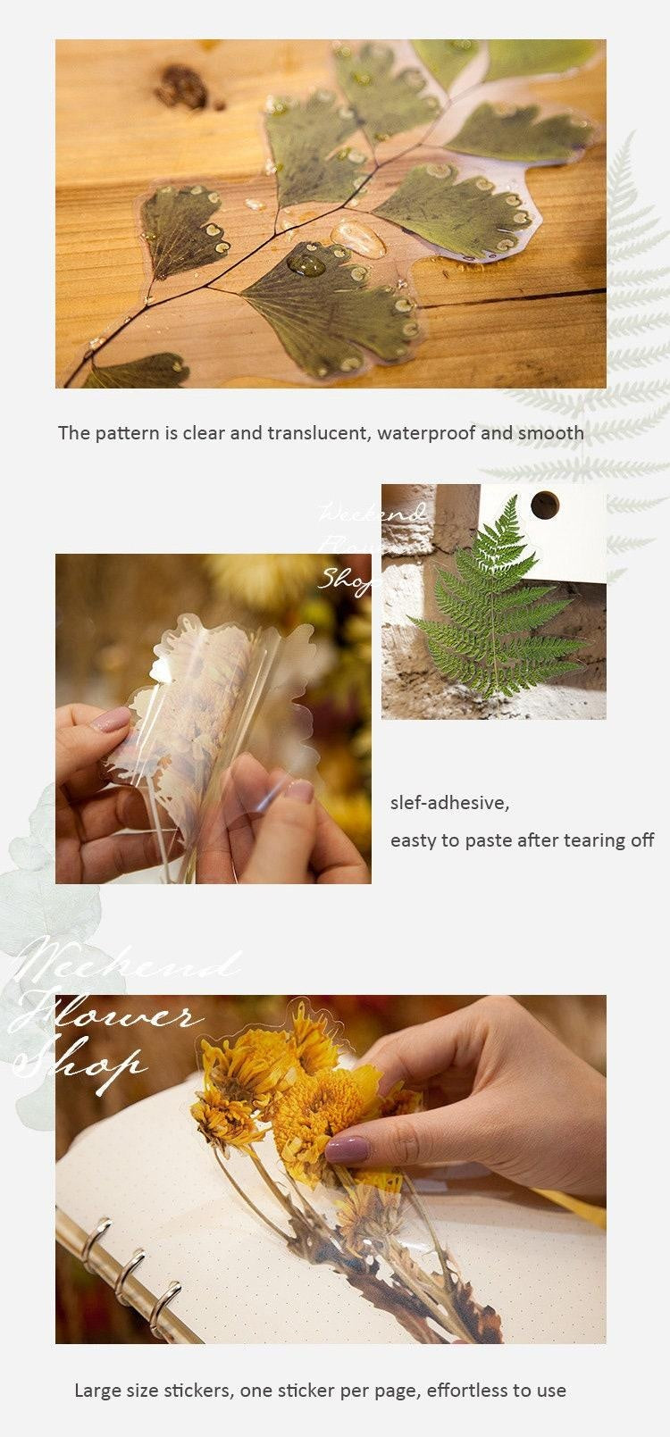 Large Dried Flowers Clear Stickers